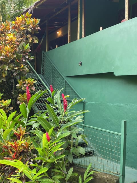 Vista del jardin y escalera de acceso al sitio