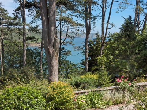 Magnificent views of the estuary | Ringrone 3, Salcombe