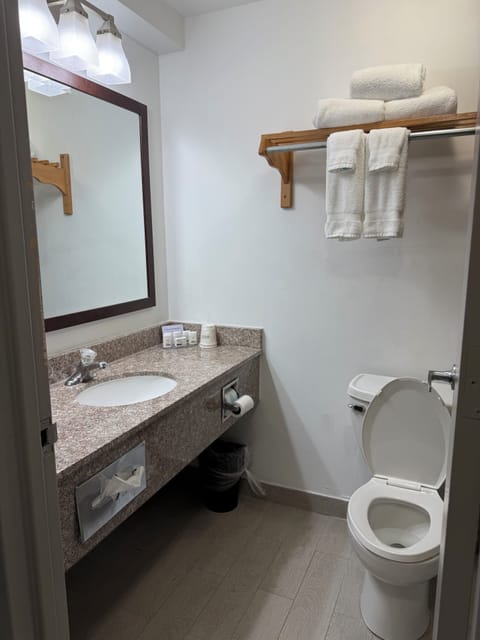 Combined shower/tub, eco-friendly toiletries, hair dryer, towels