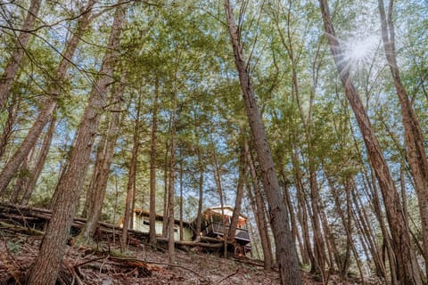 your getaway caressed by trees