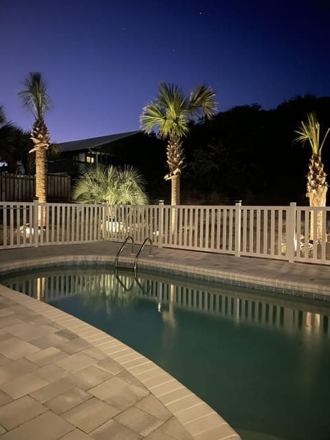 Backyard “oasis” with newly planted palm trees and lighting.