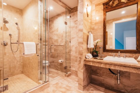 Royal Suite | Bathroom shower