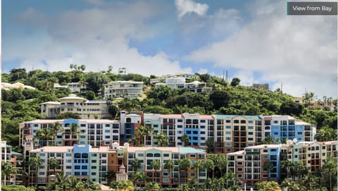 View from Bay