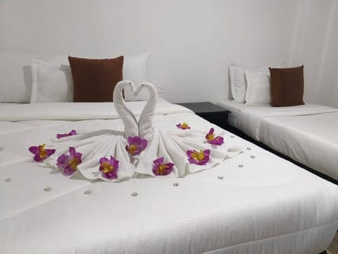 Triple Room | WiFi (free)