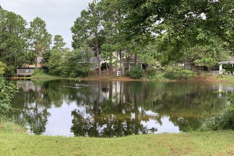Lake view from the backyard