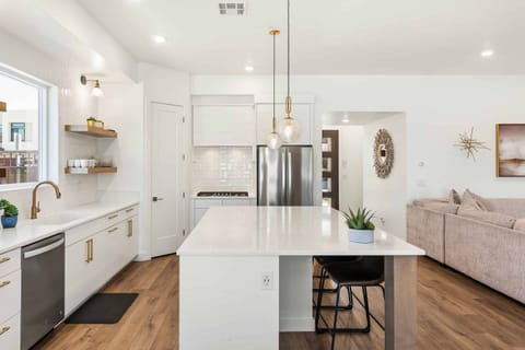 Kitchen and Living Room Area