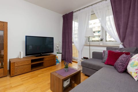 Living room with a comfortable sofa and TV. 