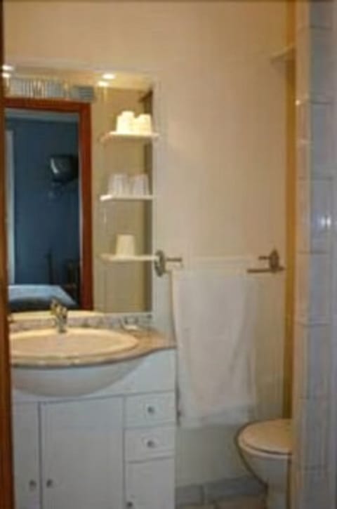 Double Room | Bathroom | Shower, free toiletries, hair dryer, towels