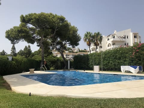 Main Pool