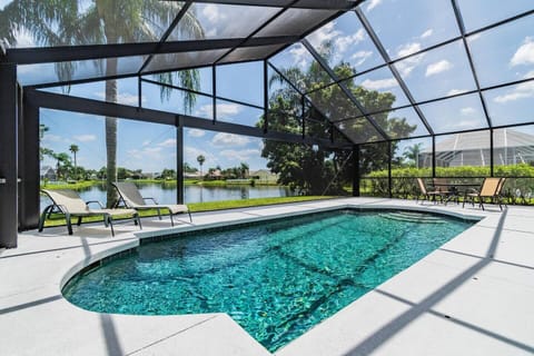 Watch the wildlife from the loungers.