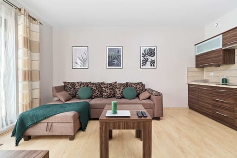 Comfortable, fold-out sofa in the living room. 