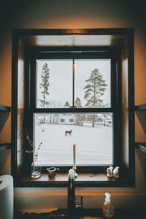 Watch the deer pass through the yard to eat from the apple trees in the backyard