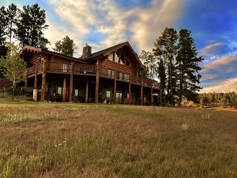 Upper deck and lower cement covered pad