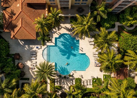 Tropical vibes by the pool ☀️