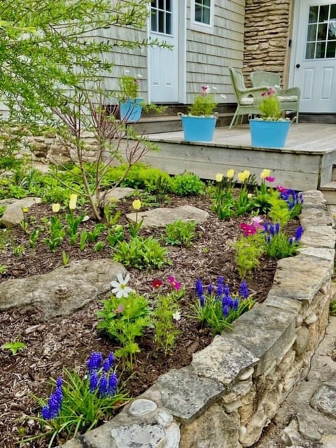 Enjoy these lovely spring flowers with your morning coffee on the deck. 🌻