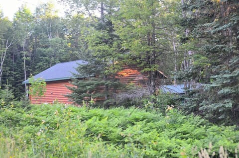 Right in the middle of everything in Cornucopia, but still tucked away.