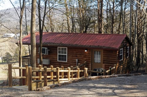 The Toolshed Cabin (1)