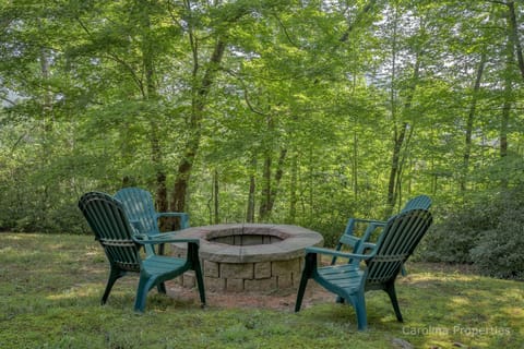 Wood burning Fire Pit