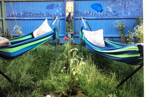 House | Property grounds