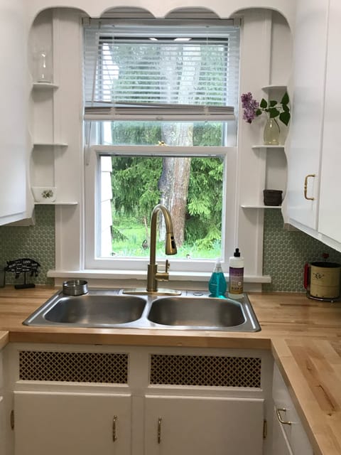 Kitchen sink overlooking the back patio and woods.