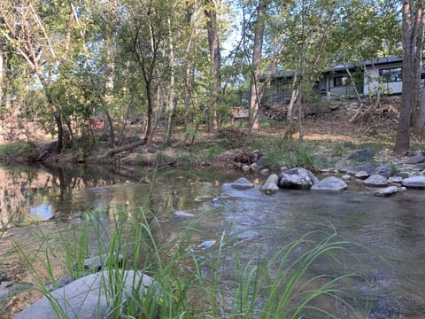 Looking at the house from across the creek in the backyard. Peace and quiet.