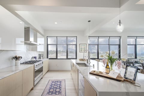 Fully Equipped Gourmet Kitchen