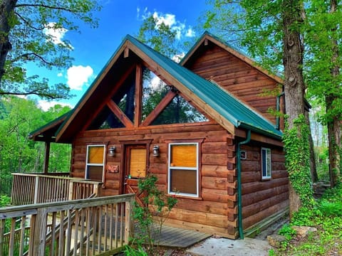 The Cabin at Oak Ridge