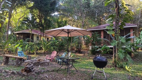 Three jungle cottages. 