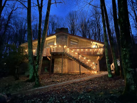 Night lights