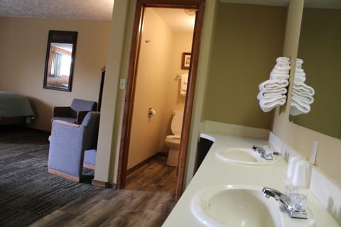 Deluxe Room | Hypo-allergenic bedding, free WiFi, bed sheets