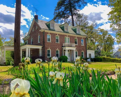 Evergreen in the Spring