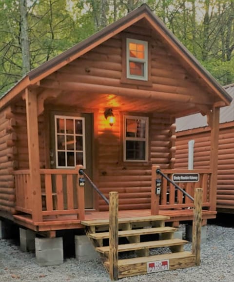 Brushy Mountain Hideaway Cabin (1)