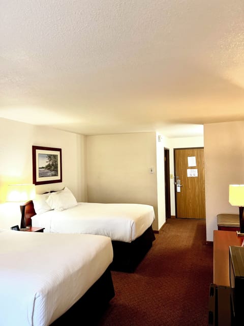 Desk, free WiFi, bed sheets, alarm clocks