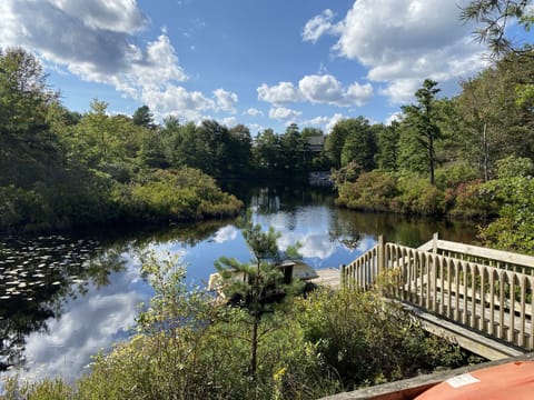 Dock in our private cove. 