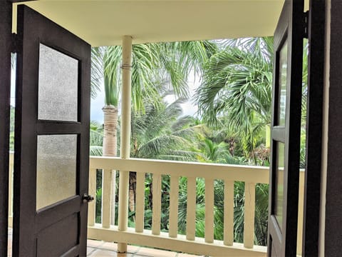 Awake in the morning to tropical breezes and rainforest views.