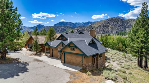 The Alpine Cabin