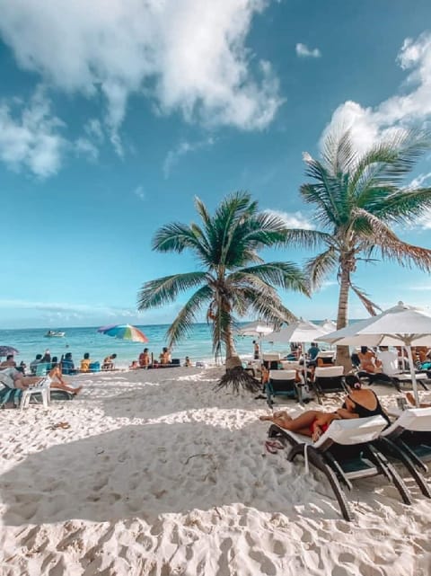 Private beach nearby, white sand, beach cabanas, sun loungers