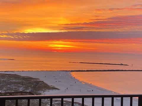 Most beautiful mornings on the balcony SO GRATEFUL !! 