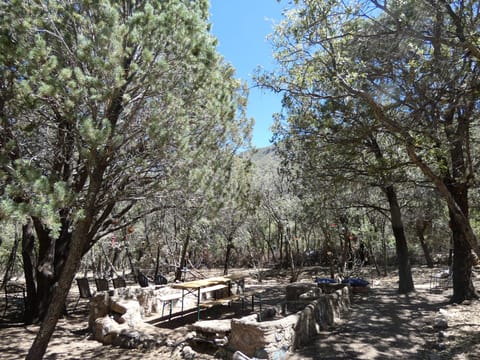 One of the 3 Bird Gardens w/ 30 feeders, water fountains and plenty of seating.