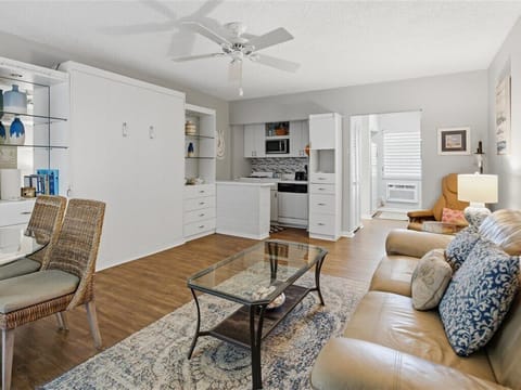 Living Room with Pull Down Murphy Bed