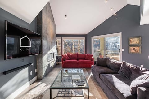Living area: Gas fireplace, TV, mountain and forest views