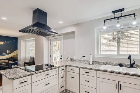 Kitchen with view of backyard suite