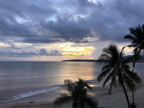 Evening view