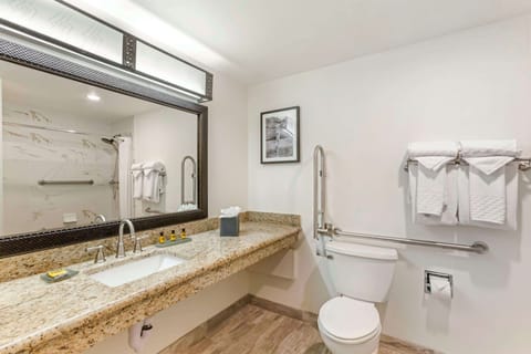 Eco-friendly toiletries, hair dryer, towels, soap