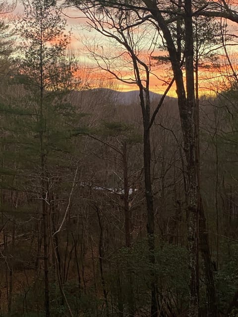 Seasonal view from upper deck