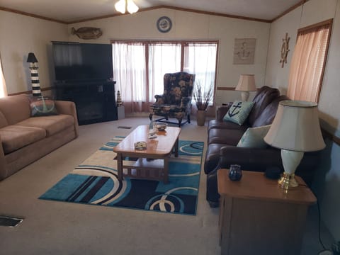 Big living room with pull out sofa 