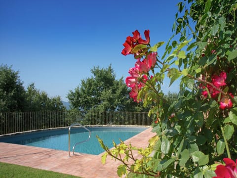Holiday Home Swimming Pool