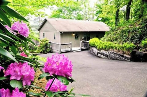 Front exterior of the cabin with a paved driveway, entry ramp, and landscaped flowering shrubs surrounded by mature trees near Bryson City, NC. Forested surroundings highlight the private Smoky Mountain setting.