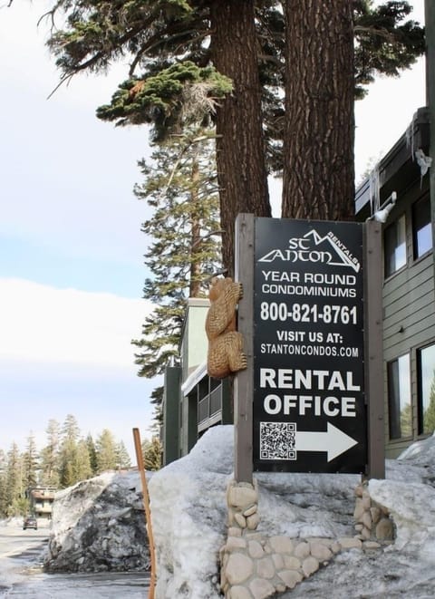 Tree, Outdoors, Vegetation, Fir, Tree Trunk