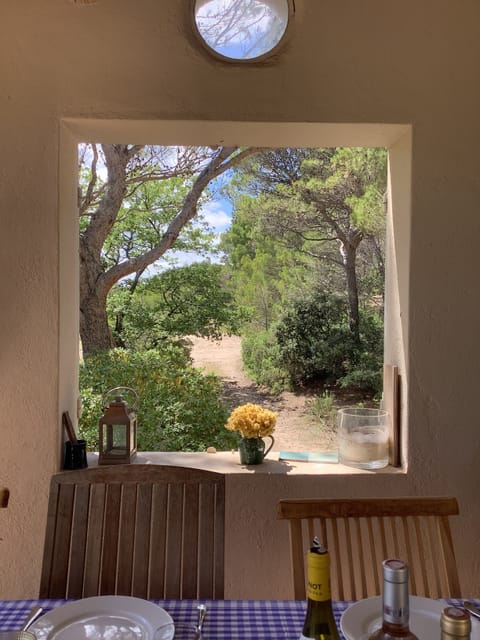 View from terrace out towards olive field